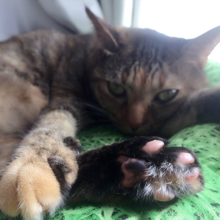 3c7c152c 7cc6 4025 9d07 177c1c827c1b