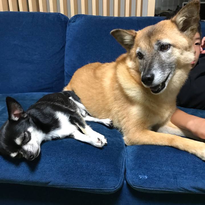 3c7c7cd7 b09c 40a3 b9cb cc0f492e26bd