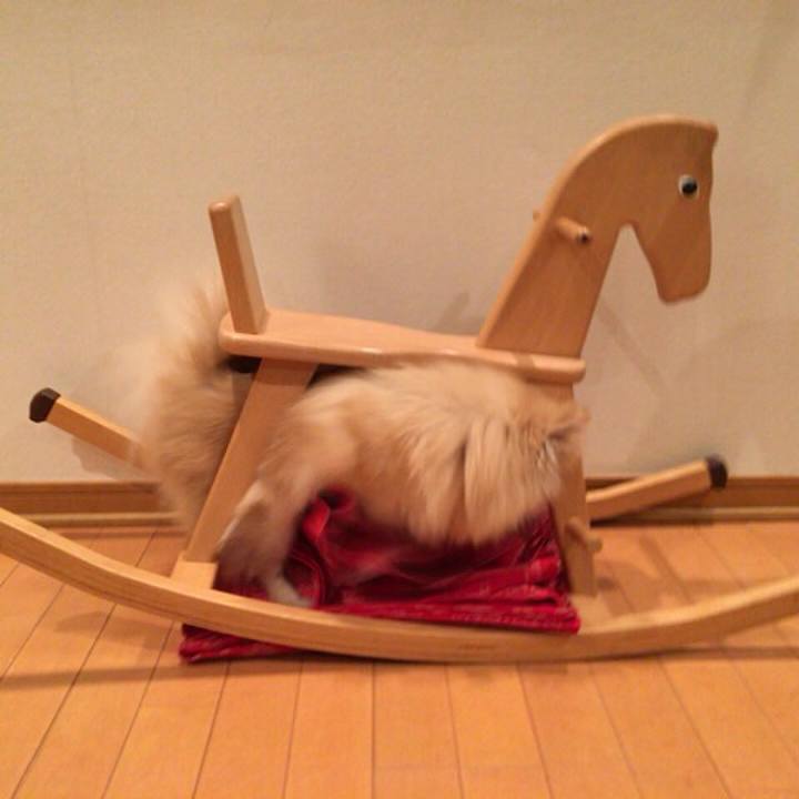 3c7cadab 9824 4db1 acb9 557bb327aca3