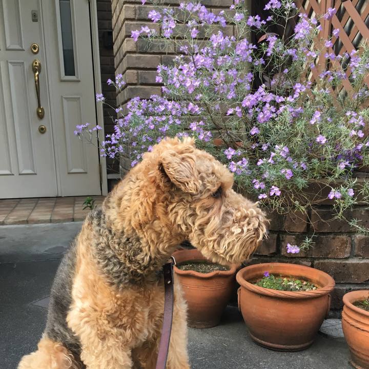 3c7d92df 09f1 4b39 b961 7050223efd10