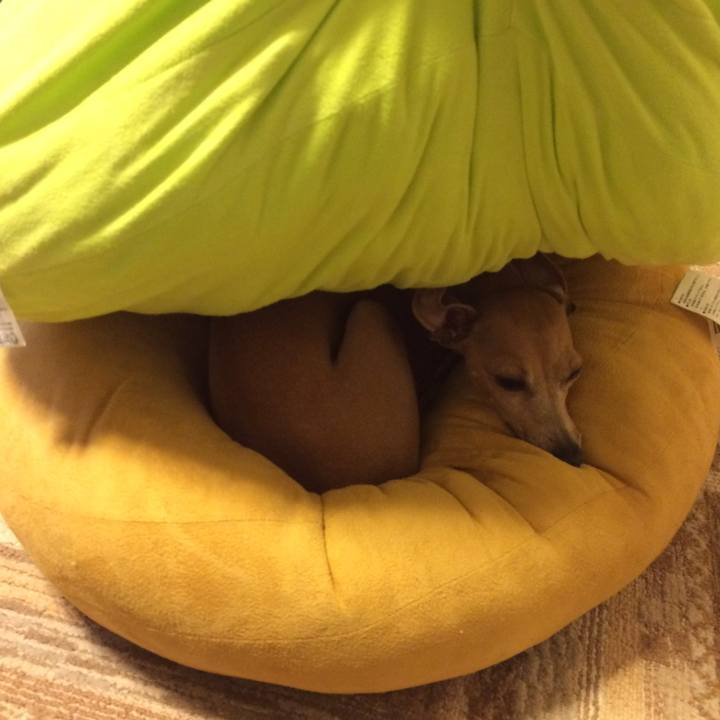 3c7db29b e193 454f 8717 57c9cf4b1385