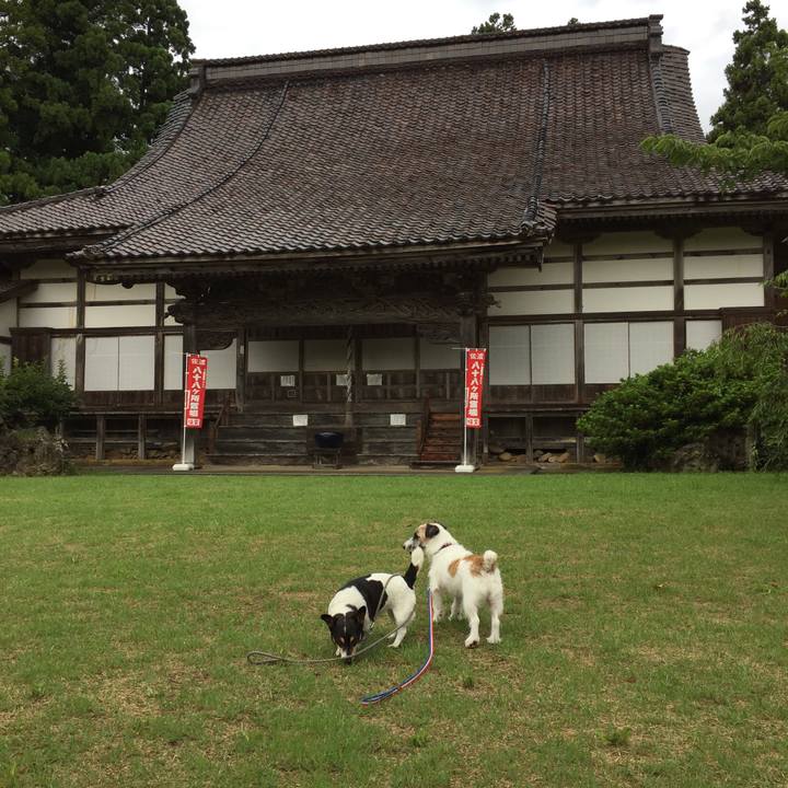 3c7e347c 26dc 43d6 a21f 080aab963ee2