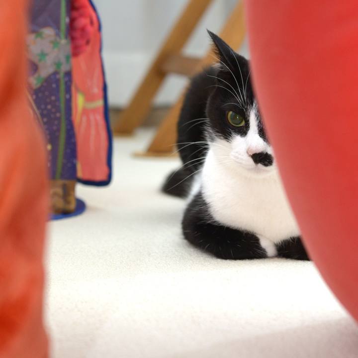 3c7e519b e05d 4f6e a722 2ec4fee50b6a