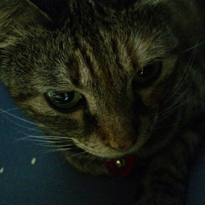 3c7e7155 1b83 4290 bd38 96db482711c6