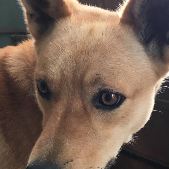 3c7e8d0f abcd 4b1c 8415 0b3bf4a84549