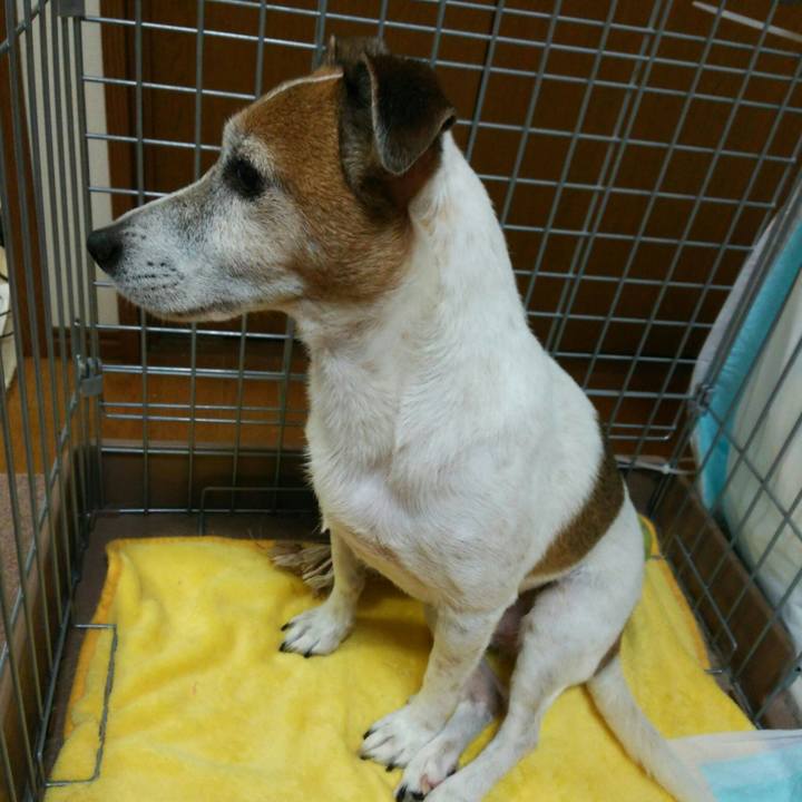 3c7eaeaf 3191 470b bc52 024a7a7e6dbd