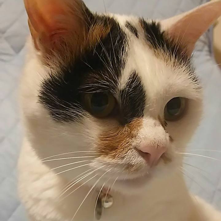 3c7ebd47 feb3 49bf b630 c8b79f4adbfd