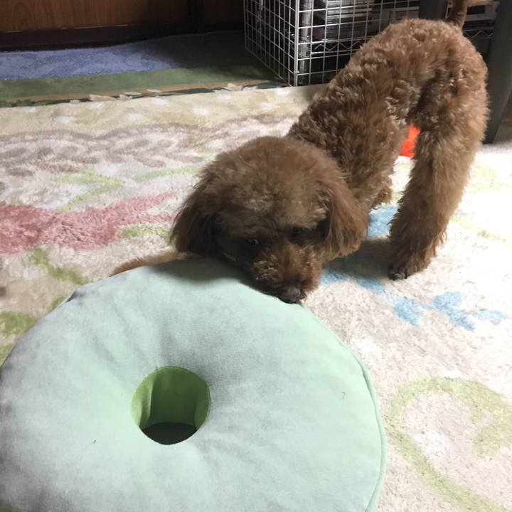 3c7f21ca 2a3d 4a82 8bd9 4fb9a27bd89e