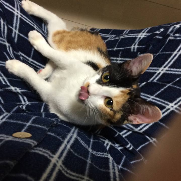 3c7f4282 3ab3 46a8 b26f 844e95a0ceb2