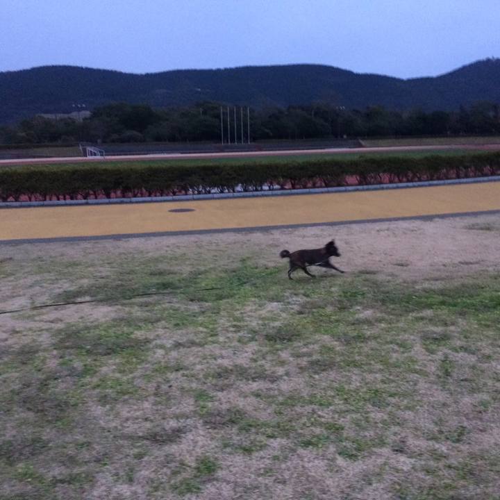 3c803514 2233 4b72 a656 a4726d04d668