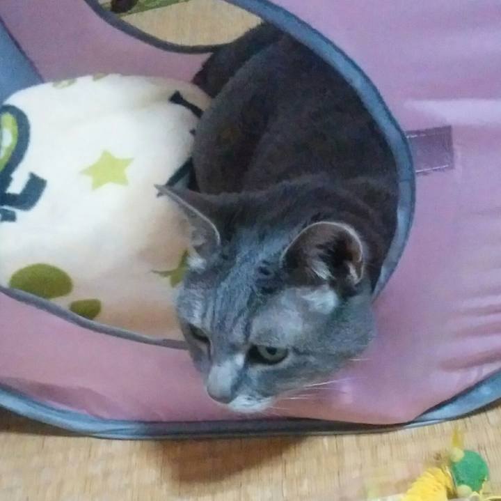 3c804d07 e914 4b68 af04 f457da2a5cf2