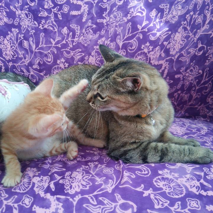 3c80cfa0 c264 49c4 a63d e6f835841f60