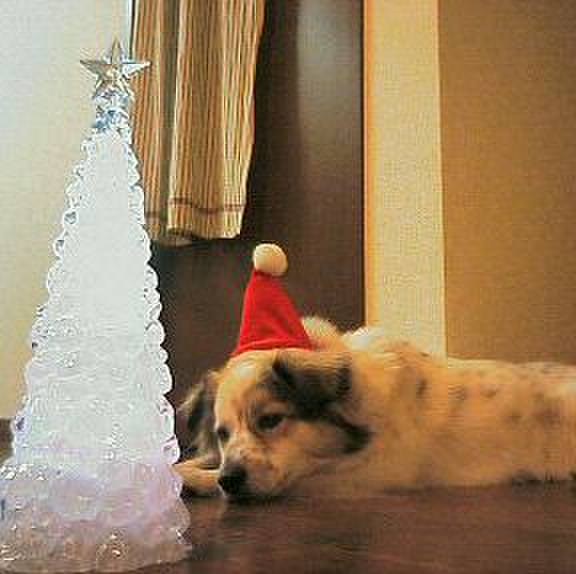 3c80e0fd 3879 40ed ba2f 87ca01f92c3c