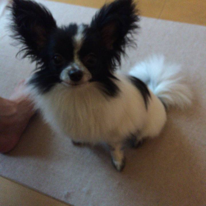 3c814ec8 1986 45d1 971a de8c165bc1dc