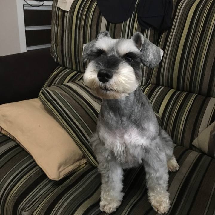 3c8177a4 f581 474a 9960 d3fefc5478c4