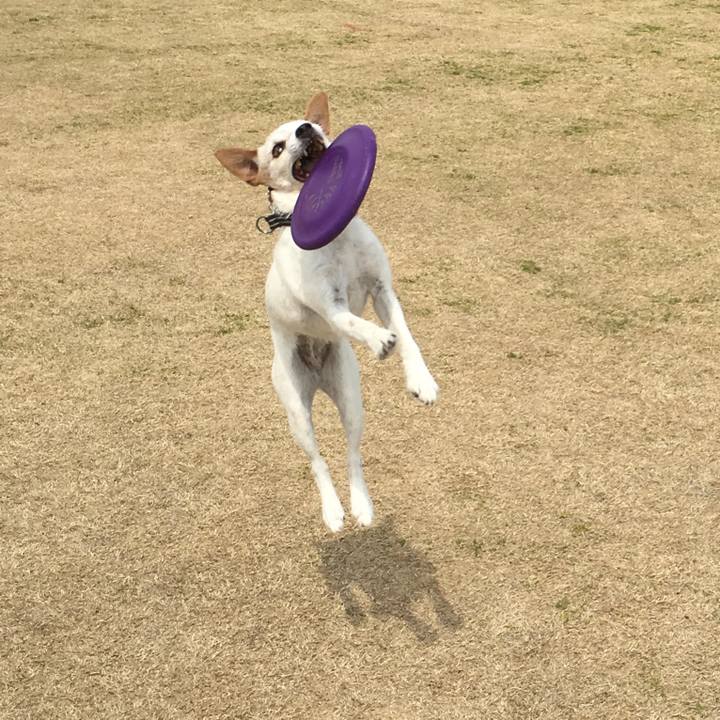 3c821b9c b1a0 46be 8c2e 3421391b7490