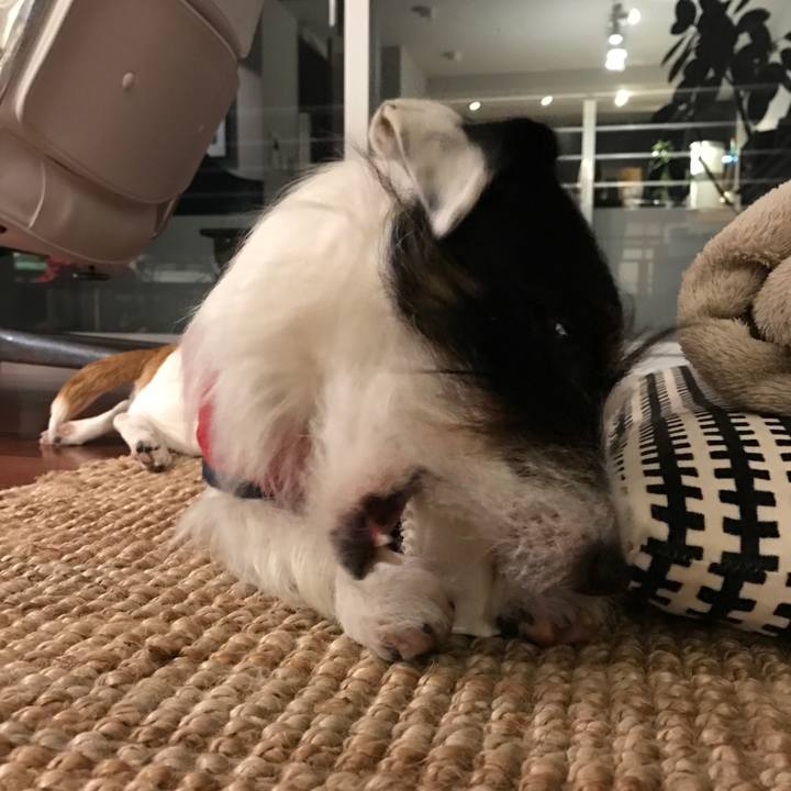 3c833223 c24c 4583 a161 ed31258882c2