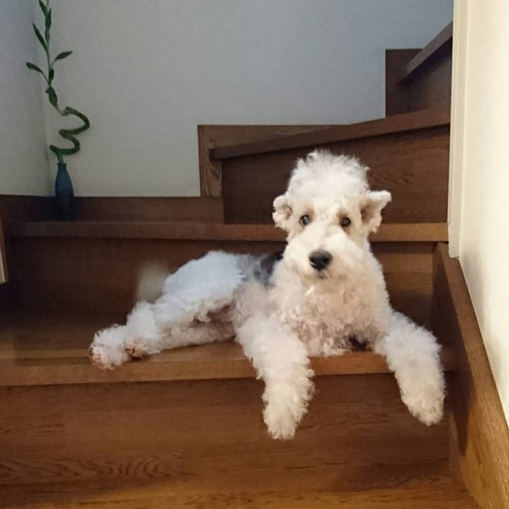 3c83ef00 d264 41ed 935c ad3916b02c9d