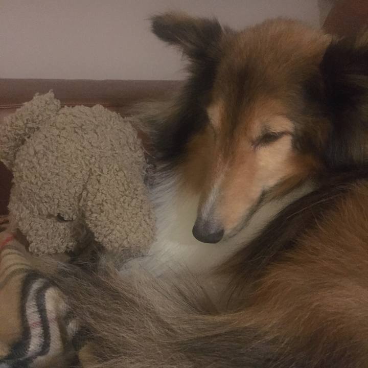 3c84034c db4e 4444 bc2f 4fc95c6392c5