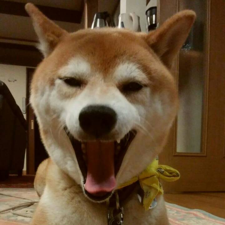 3c840c67 adf0 4f81 8fea 3538dcd5ce87