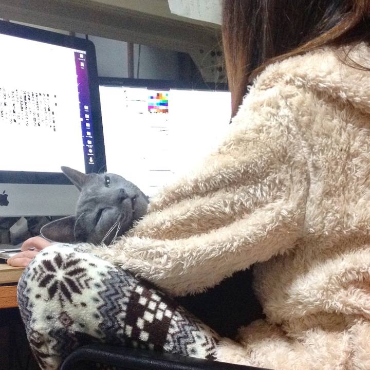 3c8491f1 453f 4133 9b02 c3f056964d24