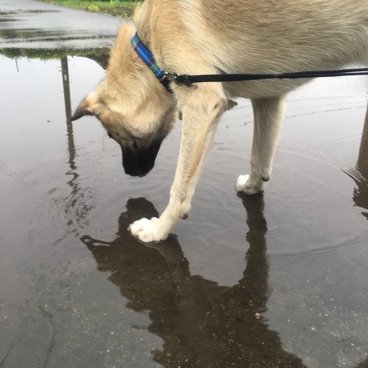 3c84fb11 c42e 4b70 aa5e bd8265757cb3