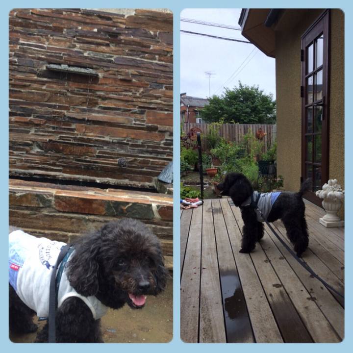 3c85135a 6edb 4578 bdf3 5d7d46abc22e