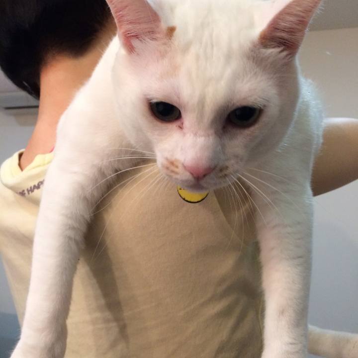 3c851d9e cf10 47a3 8a24 543ec0412c04