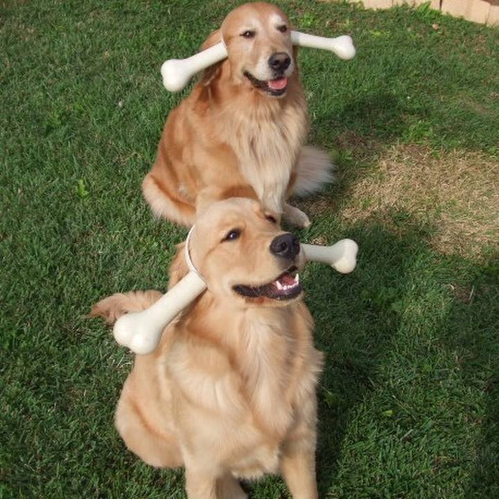 3c855884 90dd 46e2 a5dd 61bb447bb163