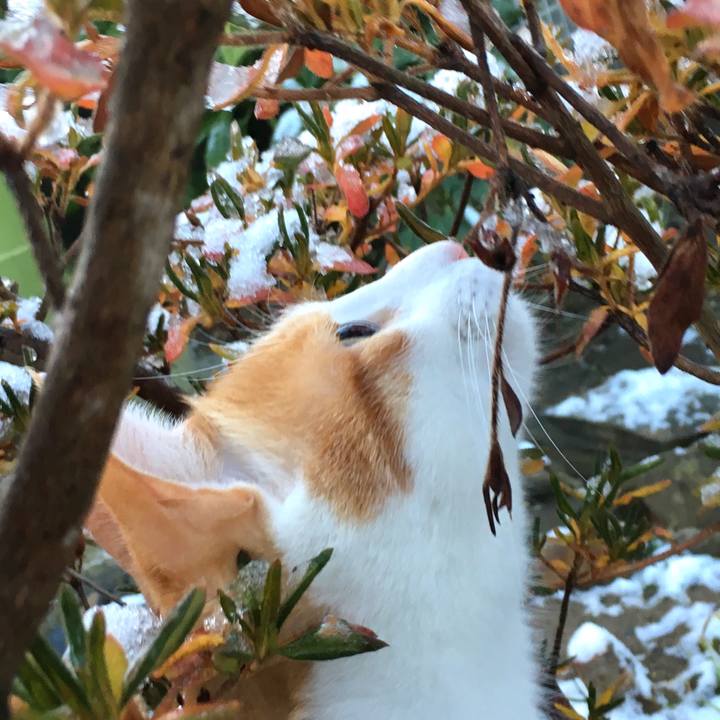 3c85be47 ecaf 4363 99ab 3b96a8f4100c