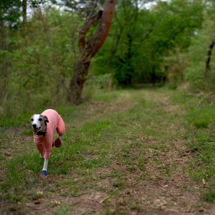 3c85da00 c0bf 4707 8c86 3eee174d9f47