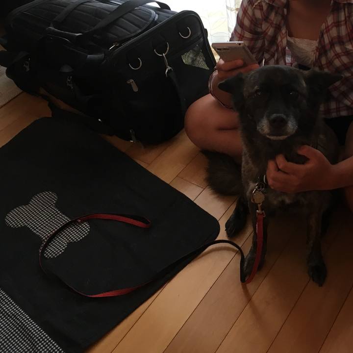 3c85e56e 1cf9 462b 9295 eae126b64dd5