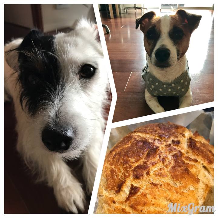 3c85f5ed 76b6 4423 867e 9c1a050c44d7