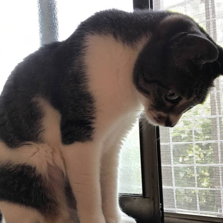 3c865984 688c 49b3 ab38 01c01273503a