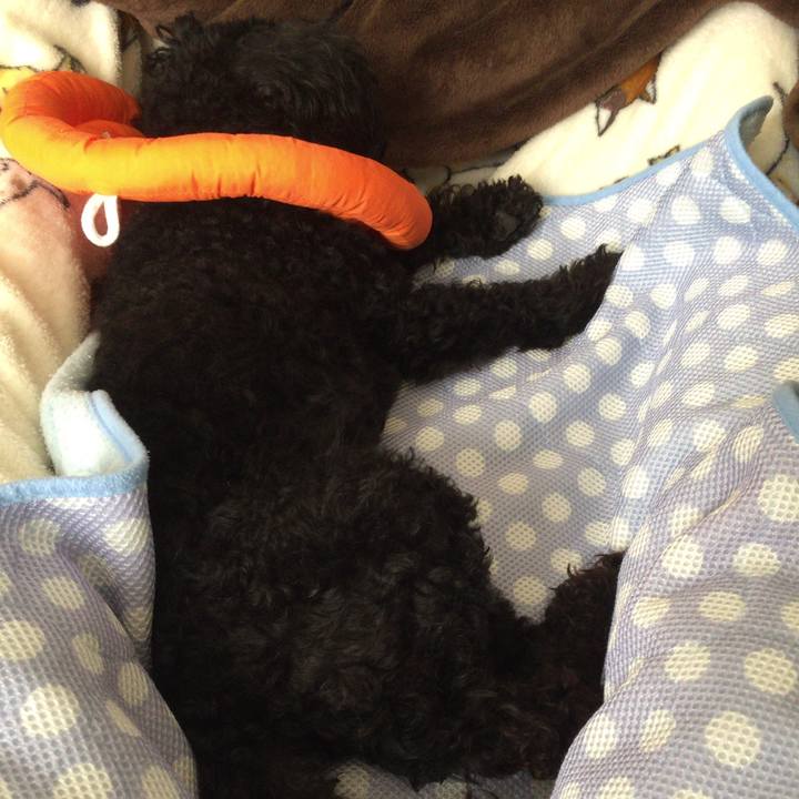 3c86f65c 7ebe 483b afe2 3b633b10e512