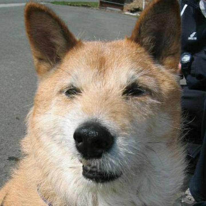 3c8730f5 2c19 4965 b989 fed5de9f9e90