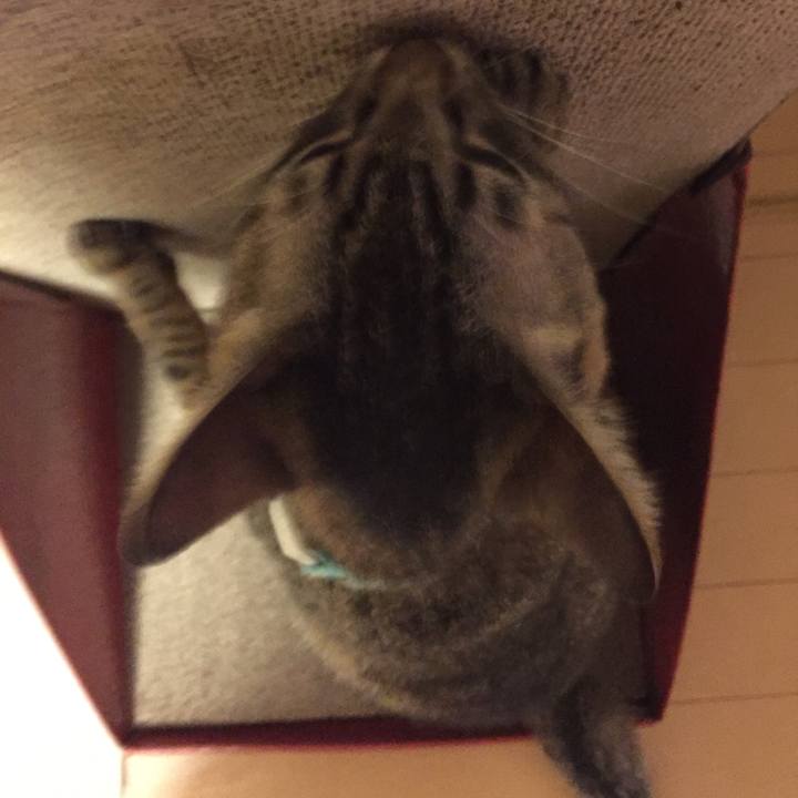 3c876fb4 1ab8 4eee 90c6 24c8211ad494