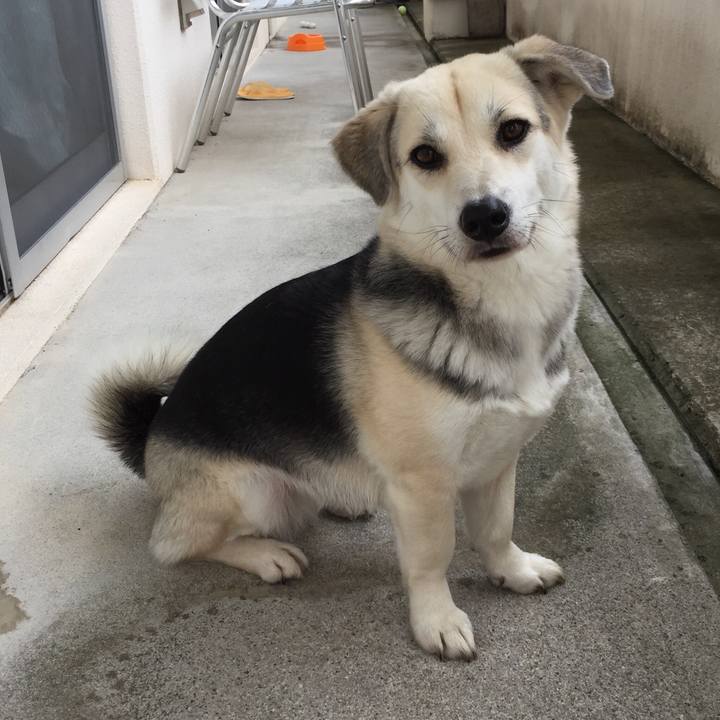 3c8796a8 75c7 4797 9c1b eb2d057ed443