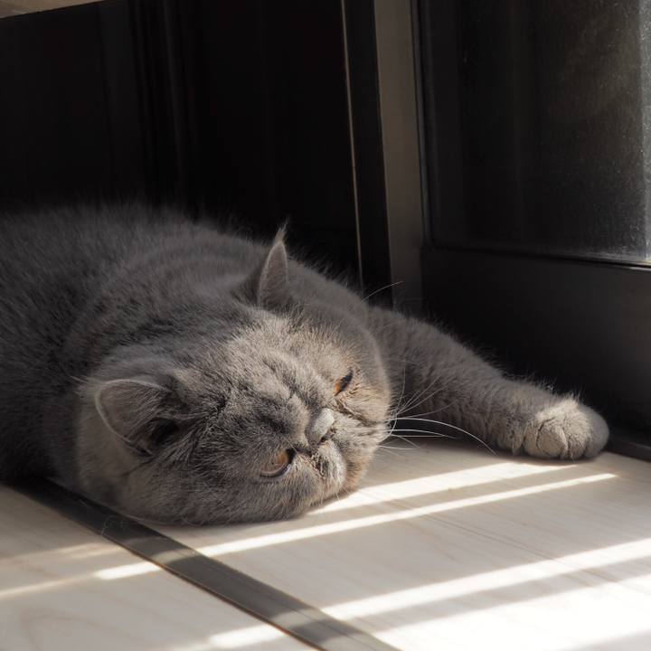 3c879d18 4f89 4cba 849a 686552a415ee