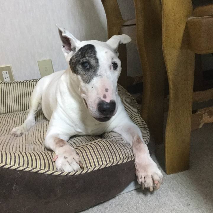 3c87a4be e356 4981 b7a5 7f0cdea6aaa9