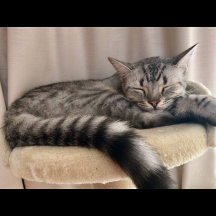 3c88155f 071d 4580 acc8 227be351263b