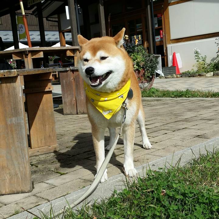 3c88f7c3 1e46 48bc be61 2953cb592af7