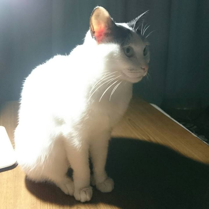 3c896ef9 bae6 4b75 9cd9 886b68c0878c