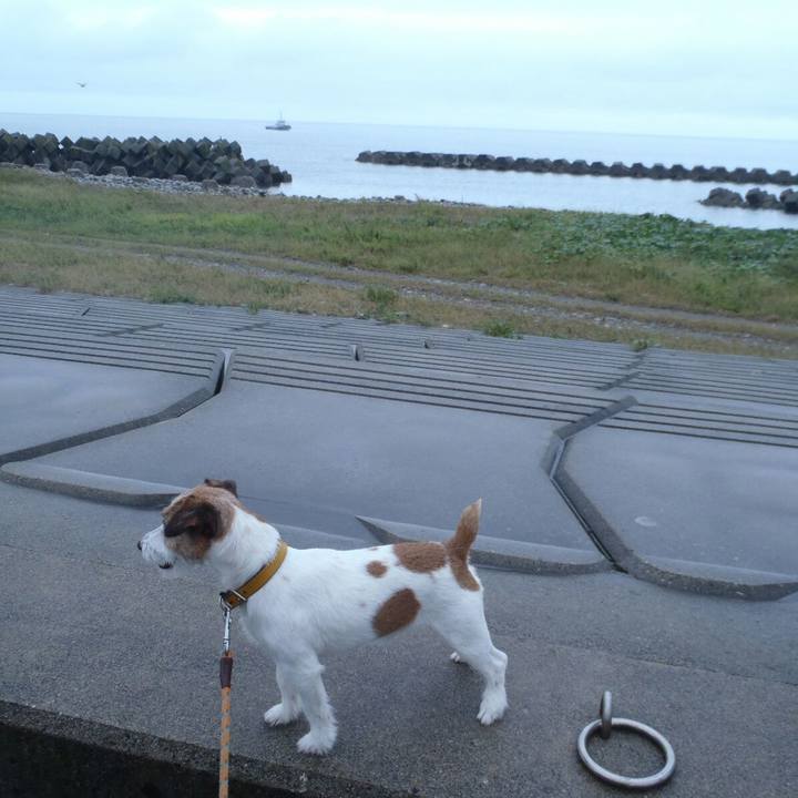 3c8ae9f6 b2fb 4451 81de 054b7df50f07