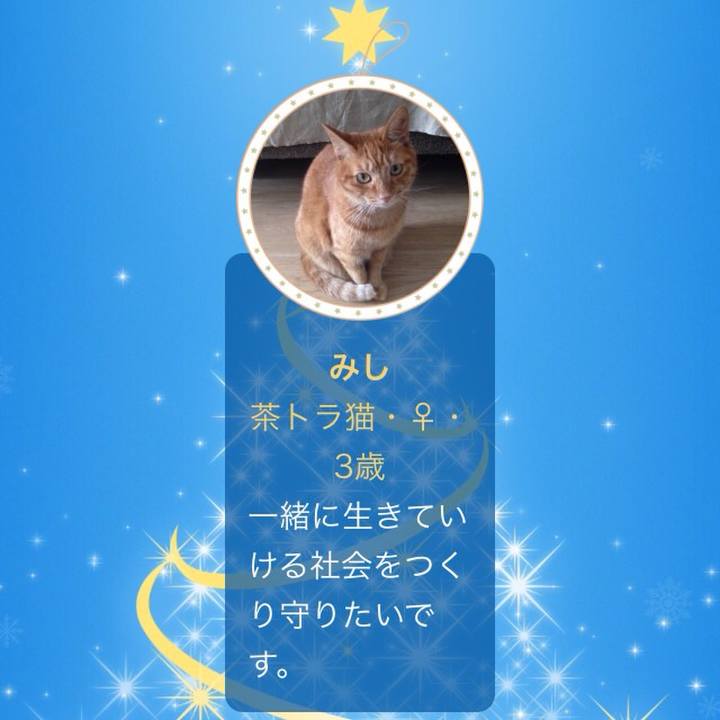 3c8b79b2 5de0 4bbd ba9b 6ec13f8fa658