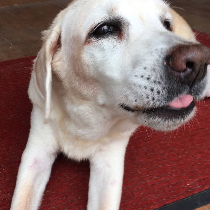 3c8bb5d7 3120 498b 9697 3914a947b994