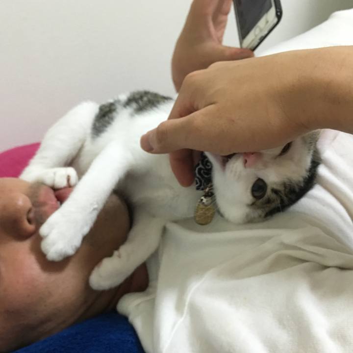 3c8cb1d8 986f 47de a4f1 17835b7dde39