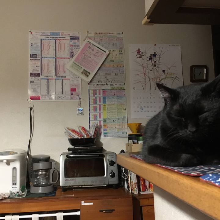 3c8d2b96 82a0 467b 8474 4bd77bbab4b8