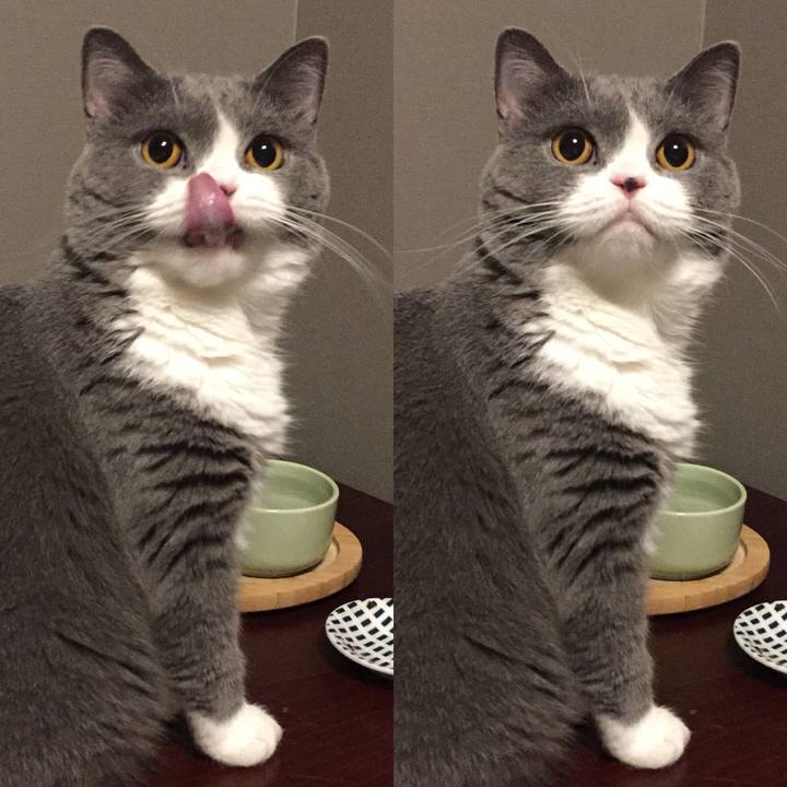 3c8d30d9 3fee 4699 9e3a 0944eee42e3d