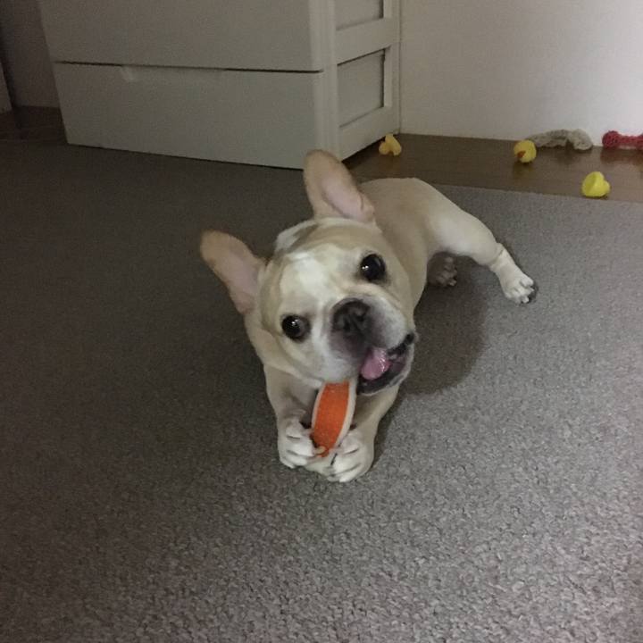 3c8d8f3f a19b 470a ac2e 55b9fc868110